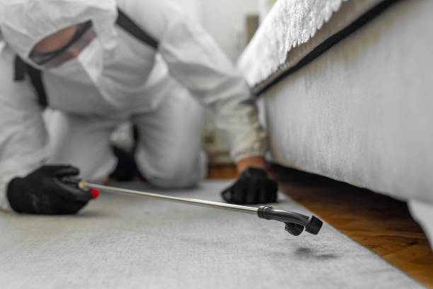 Professional Ant Control technician working in Montclair, VA