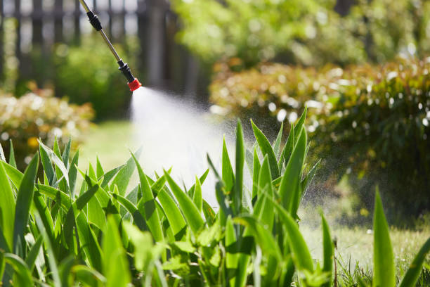 24/7 Emergency Wasp Removal experts in Montclair, VA