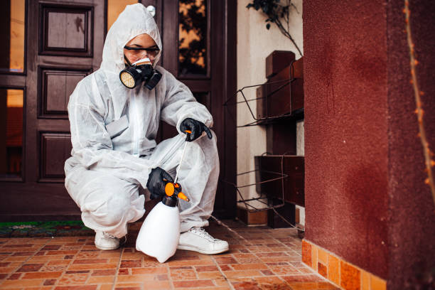 Reliable Wasp Removal contractor in Montclair, VA by Show Me Pest Control
